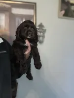 processed/5f876b8d-ea12-42eb-a338-d8adb55abeeb/listing/4e708c71-e15e-49aa-a8d9-6aa206d8bdac/ec2a39e9-1041-4ad0-9e20-8e242f231d1b