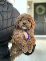 processed/5f876b8d-ea12-42eb-a338-d8adb55abeeb/listing/b7fa17b8-0cc1-4e63-9ca0-97067ca60038/7d2c8d62-d873-4565-a497-118ac7b2edb1