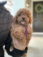 processed/5f876b8d-ea12-42eb-a338-d8adb55abeeb/listing/b7fa17b8-0cc1-4e63-9ca0-97067ca60038/a3f466f4-4334-49d0-8e64-a3bb22b3c385