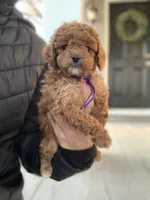 processed/5f876b8d-ea12-42eb-a338-d8adb55abeeb/listing/b7fa17b8-0cc1-4e63-9ca0-97067ca60038/d55301e3-2482-47e6-8fc7-ed3672ef646b