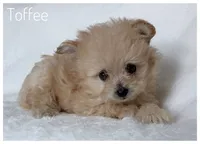 processed/5f878965-63b3-4f34-8baa-bd2eabc21f04/listing/29472812-fd4d-44aa-9a43-8e8736ae6b16/61532232-9661-49b2-aac5-bebb71c19b00