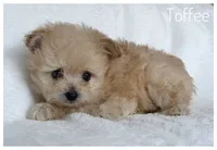 processed/5f878965-63b3-4f34-8baa-bd2eabc21f04/listing/29472812-fd4d-44aa-9a43-8e8736ae6b16/aed826b0-ebdd-46c9-ba3d-100bf6088c0c