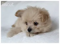 processed/5f878965-63b3-4f34-8baa-bd2eabc21f04/listing/2cf2bb57-1e60-4080-8a9f-be67d2f53d9c/b7d30583-941a-4f97-b151-d44ce39f7786