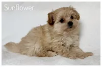 processed/5f878965-63b3-4f34-8baa-bd2eabc21f04/listing/60abcad2-ecbb-4f70-b90a-e78b8e9e0982/2a221a73-e26a-44db-b1b5-d87cadd4fc51