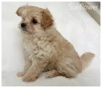 processed/5f878965-63b3-4f34-8baa-bd2eabc21f04/listing/60abcad2-ecbb-4f70-b90a-e78b8e9e0982/6dacfec6-2018-4132-866d-5581947ad015