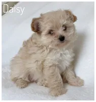 processed/5f878965-63b3-4f34-8baa-bd2eabc21f04/listing/e9d3bfae-9d7b-49b8-a26b-992e25f4b122/014a19a7-dac4-4248-9f76-a53d45bf1773