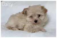 processed/5f878965-63b3-4f34-8baa-bd2eabc21f04/listing/e9d3bfae-9d7b-49b8-a26b-992e25f4b122/4adc9849-bb7a-4b89-975d-4523074e2f69