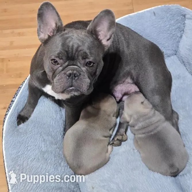 processed/5f8cc502-4e11-4093-a5b9-cceffa683fd8/facility/1020fe5d-5feb-4907-8791-183a02cc5ab0