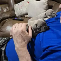 processed/5f8cc502-4e11-4093-a5b9-cceffa683fd8/facility/1923eef3-7835-4105-a15d-2b66481e7fa6