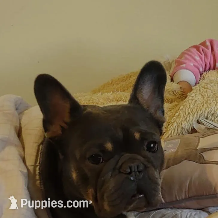 processed/5f8cc502-4e11-4093-a5b9-cceffa683fd8/facility/555b9e97-cf53-4a6e-a036-302d48ded8e7