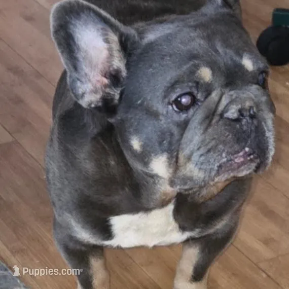 processed/5f8cc502-4e11-4093-a5b9-cceffa683fd8/facility/b01cba0e-c7ce-45aa-9ffc-a9cd206526d6