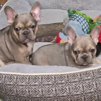 processed/5f8cc502-4e11-4093-a5b9-cceffa683fd8/facility/d3f2ba40-26b3-4c4e-b9e1-23a91c14e809