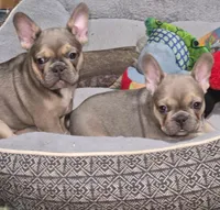 processed/5f8cc502-4e11-4093-a5b9-cceffa683fd8/facility/d3f2ba40-26b3-4c4e-b9e1-23a91c14e809