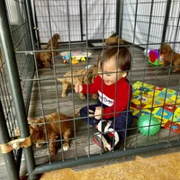 processed/5fae91af-d024-449a-adc6-1ad25e689185/facility/01982b92-6ca8-4925-a0de-e4aff372aabc