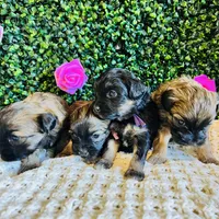 processed/5fae91af-d024-449a-adc6-1ad25e689185/facility/09f0274b-9d74-461a-a3d8-709b2d011c2f