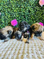 processed/5fae91af-d024-449a-adc6-1ad25e689185/facility/09f0274b-9d74-461a-a3d8-709b2d011c2f