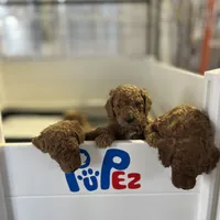 processed/5fae91af-d024-449a-adc6-1ad25e689185/facility/6f10ef5a-67d9-495d-8a70-a91352873a0d