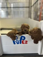 processed/5fae91af-d024-449a-adc6-1ad25e689185/facility/6f10ef5a-67d9-495d-8a70-a91352873a0d