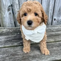 processed/5fae91af-d024-449a-adc6-1ad25e689185/facility/79a75189-038f-4a10-9189-ba8ac6fe0010