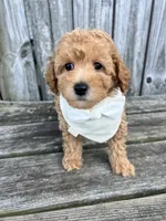 processed/5fae91af-d024-449a-adc6-1ad25e689185/facility/79a75189-038f-4a10-9189-ba8ac6fe0010