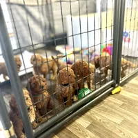 processed/5fae91af-d024-449a-adc6-1ad25e689185/facility/bf6ea7f6-4bfc-4e69-8792-eb923f12623a