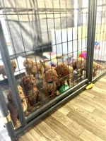 processed/5fae91af-d024-449a-adc6-1ad25e689185/facility/bf6ea7f6-4bfc-4e69-8792-eb923f12623a