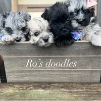 processed/5fae91af-d024-449a-adc6-1ad25e689185/facility/d432cf45-a0cd-4e98-b81d-9f7de7252fdd