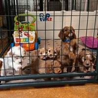 processed/5fae91af-d024-449a-adc6-1ad25e689185/facility/f4c2e4c8-5c42-46a6-bafe-8f76ae2d8538