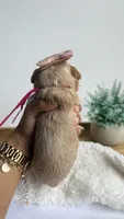 Tortellini , a female Miniature Goldendoodle for sale in Selma, NC – 3 of 6