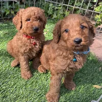 processed/5fb10f59-61b7-4ff7-8895-e00ed90b9cdf/facility/6e4180e0-dc6d-4a70-a2ba-2b62b72dc198