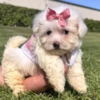 processed/5fb10f59-61b7-4ff7-8895-e00ed90b9cdf/facility/77c8b329-f089-4b0a-9e14-4f79f01209e0