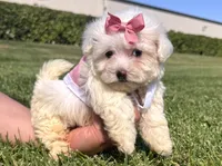 processed/5fb10f59-61b7-4ff7-8895-e00ed90b9cdf/facility/77c8b329-f089-4b0a-9e14-4f79f01209e0