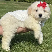 processed/5fb10f59-61b7-4ff7-8895-e00ed90b9cdf/facility/7e5d18b6-bb11-4e44-a125-0b04972b450c