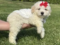 processed/5fb10f59-61b7-4ff7-8895-e00ed90b9cdf/facility/7e5d18b6-bb11-4e44-a125-0b04972b450c