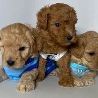 processed/5fb10f59-61b7-4ff7-8895-e00ed90b9cdf/facility/ea979ade-5993-4bfb-8afb-c1aa447dc712