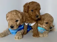 processed/5fb10f59-61b7-4ff7-8895-e00ed90b9cdf/facility/ea979ade-5993-4bfb-8afb-c1aa447dc712