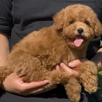 processed/5fb10f59-61b7-4ff7-8895-e00ed90b9cdf/facility/feabcd1d-b11a-4a8b-8026-72881dbe7e08