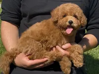 processed/5fb10f59-61b7-4ff7-8895-e00ed90b9cdf/facility/feabcd1d-b11a-4a8b-8026-72881dbe7e08