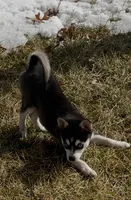 processed/5fcf6ffe-933e-4f0e-91bb-e61dbb92342e/listing/9d48715c-3ab2-4ac7-918d-6cca226f9dbf/45bb98fa-81d5-41f3-8398-490ec21b8d7a