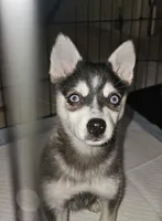 processed/5fcf6ffe-933e-4f0e-91bb-e61dbb92342e/listing/9d48715c-3ab2-4ac7-918d-6cca226f9dbf/4c1bc341-16d4-489e-9f8b-c0c6f68cac4d