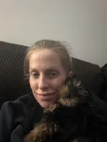 Male2, a male Yorkshire Terrier for sale in Winchester, VA – Photo 2 of 5