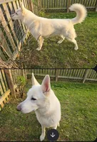 processed/5fd950c1-2f68-4050-9e8c-38f546974a1d/facility/a5f35bc5-42f8-4bf2-8eda-736fd0a8055d