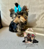 processed/5fdf7bee-5be6-4289-a921-2e12c9272d87/facility/3040eb3c-7c3a-4632-946f-b9a2fa03a919