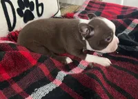 processed/5fe2fc97-b0f8-45c2-9217-b697b31ad6dd/listing/56fd1943-5283-40c7-89ff-ec5cbca5d32f/14e43712-6168-41dd-97d1-1eb499168dfb