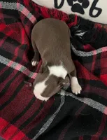 processed/5fe2fc97-b0f8-45c2-9217-b697b31ad6dd/listing/56fd1943-5283-40c7-89ff-ec5cbca5d32f/c5331146-123b-46f7-9468-7435dc2df8f1