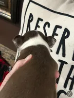 processed/5fe2fc97-b0f8-45c2-9217-b697b31ad6dd/listing/56fd1943-5283-40c7-89ff-ec5cbca5d32f/ca5e60c8-0b71-4680-bfcf-e8da4037ff21