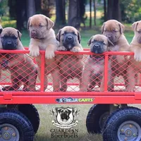 processed/5fe5d721-4160-4a73-b92a-54794af6405f/facility/066638fb-758a-464f-9919-c7ece5473008