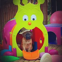 processed/5fe5d721-4160-4a73-b92a-54794af6405f/facility/0b39f3b4-f1cc-44a7-bb87-f89c20b16e9e