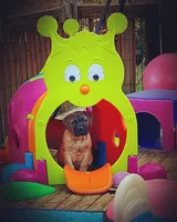 processed/5fe5d721-4160-4a73-b92a-54794af6405f/facility/0b39f3b4-f1cc-44a7-bb87-f89c20b16e9e