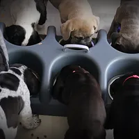 processed/5fe5d721-4160-4a73-b92a-54794af6405f/facility/a89627bb-1401-418b-a6f3-07cba7774ce2